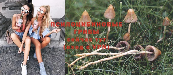 бутират Алзамай