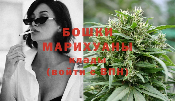 стафф Аркадак