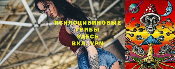 крисы Армянск