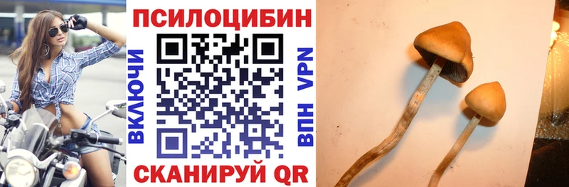 Псилоцибиновые грибы GOLDEN TEACHER  Певек 