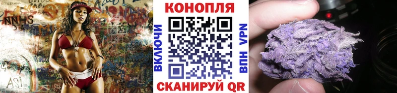 Конопля конопля  как найти наркотики  Певек 